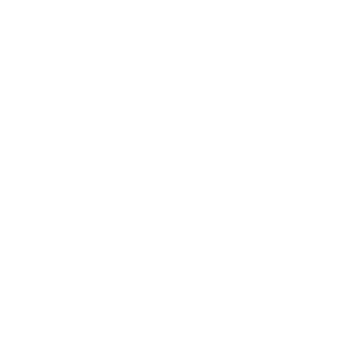 TSWAG STORE